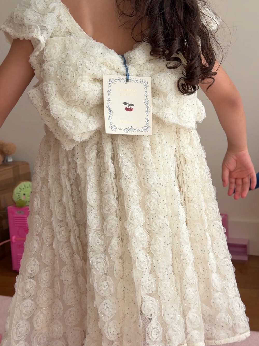 Elegant Cream Floral Lace Formal Dress for Kids NWT